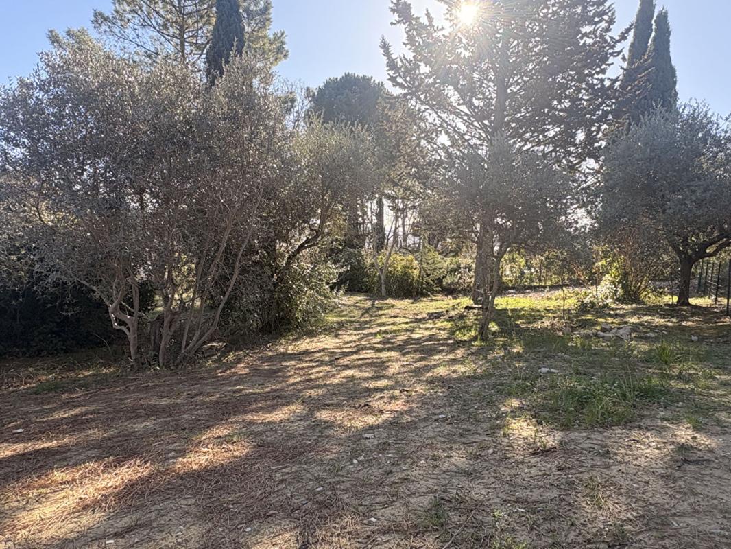 PIERREVERT Terrain Pierrevert 1013 m2 3