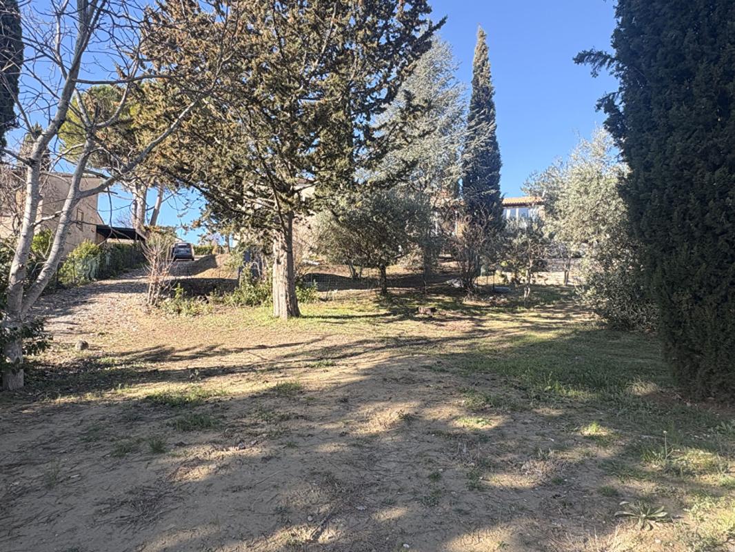 PIERREVERT Terrain Pierrevert 1013 m2 6