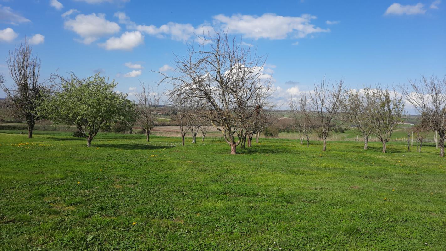 SAINT-THOMAS-DE-CONAC Maison Saint Thomas De Conac 6 pièce(s) 177m2 13