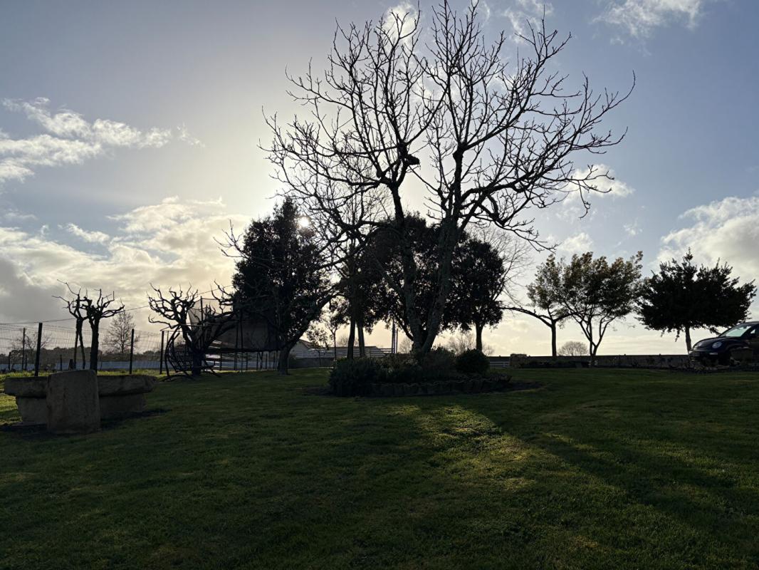 SAUVETERRE-DE-GUYENNE Maison Sauveterre De Guyenne 7 pièce(s) 225 m2 6