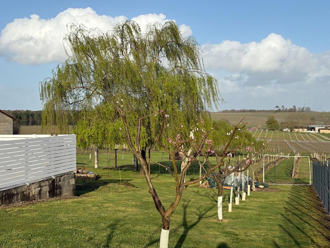 SAUVETERRE-DE-GUYENNE Maison Sauveterre De Guyenne 7 pièce(s) 225 m2 7