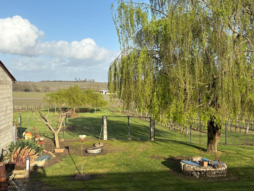 SAUVETERRE-DE-GUYENNE Maison Sauveterre De Guyenne 7 pièce(s) 225 m2 9