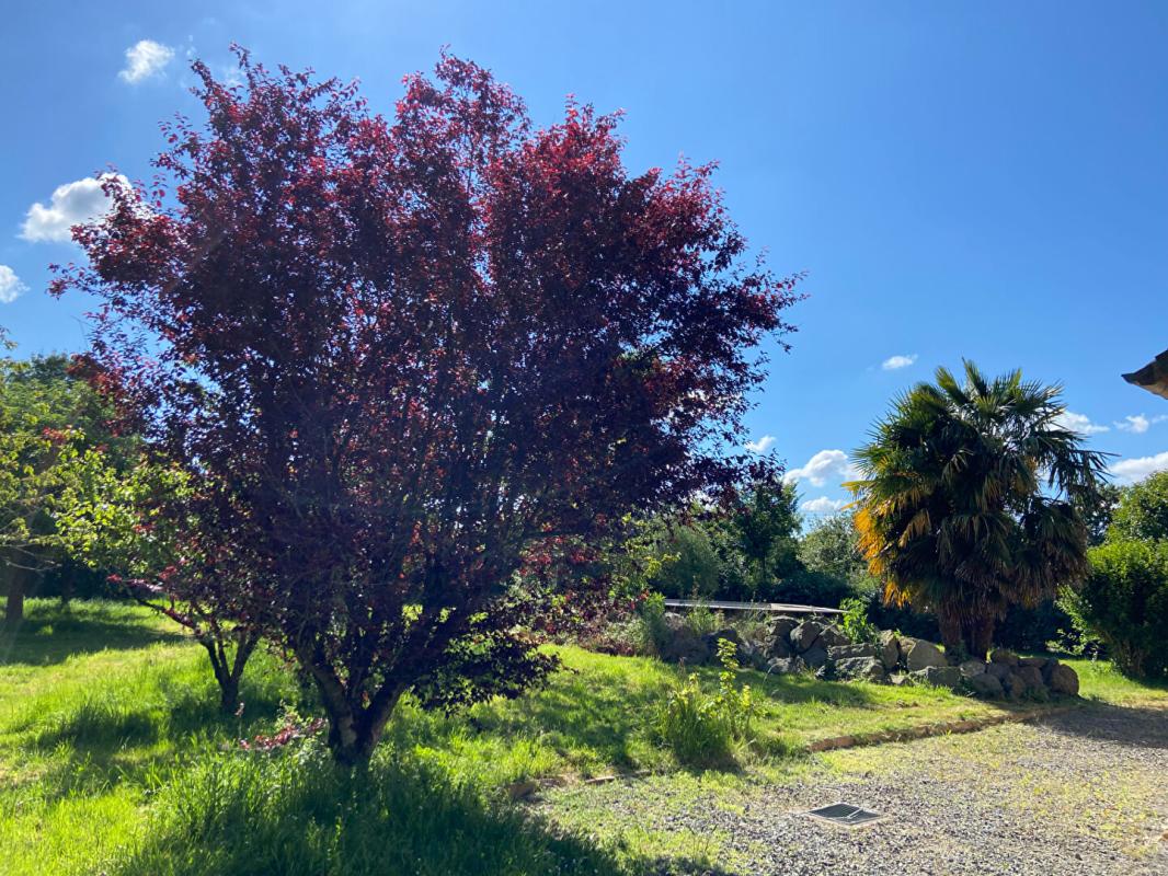 PRECIGNE Longère Precigne 9 pièce(s) 230 m2 6