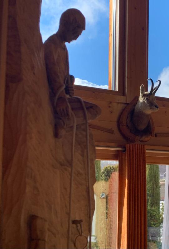 PASSY PASSY Secteur BAY ,Chalet d'exception 5 pièces150 m2, vue massif du Mont Blanc , 841 m2 de terrain 1070000 EUROS 14