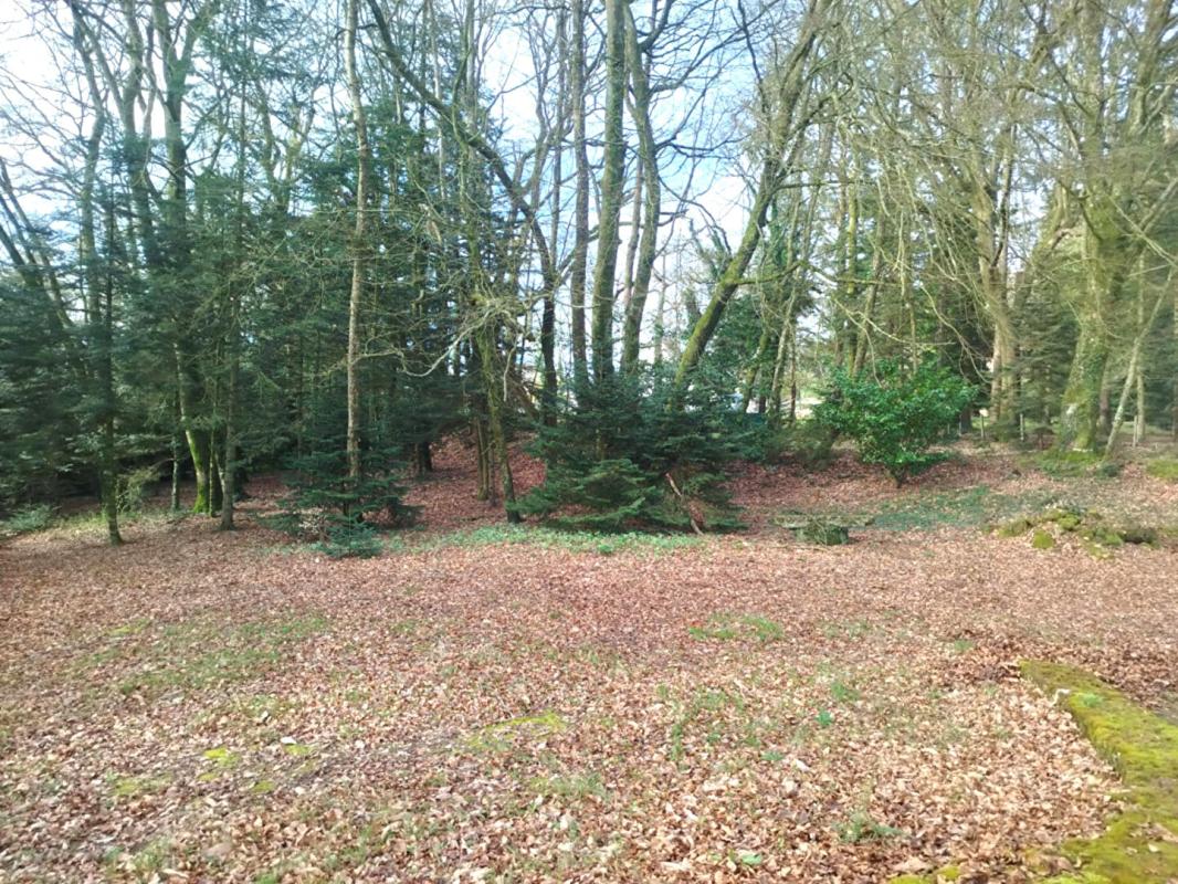 SAINT-GONNERY Grande maison familiale en campagne 14