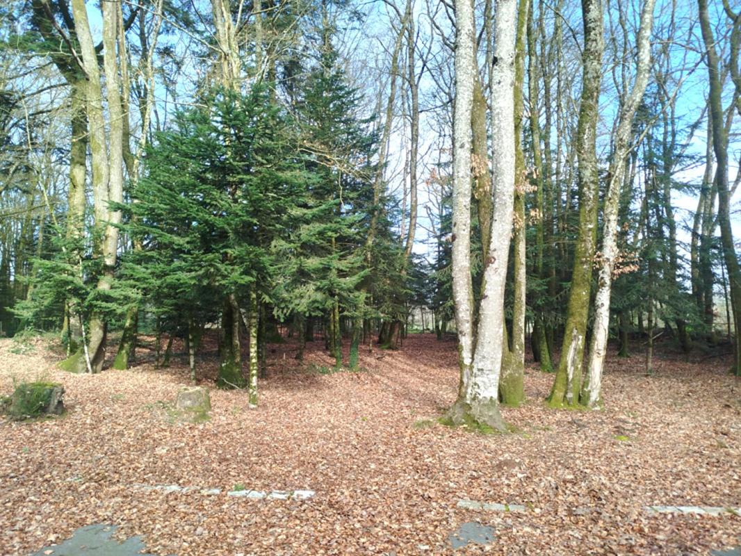 SAINT-GONNERY Grande maison familiale en campagne 15