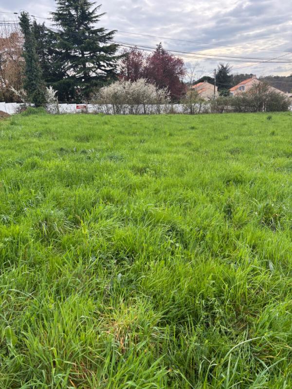 OUDON A SAISIR OUDON TERRAIN  CONSTRUCTIBLE 1