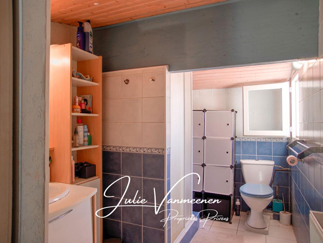 LA SALVETAT-SAINT-GILLES La Salvetat-Saint-Gilles (31880) - Maison T5 - 4 chambres - Double Garage - Piscine 17