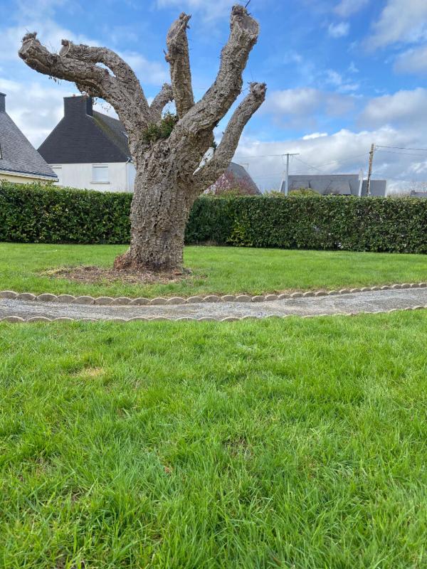 SENE Terrain Sene 281 m2 bourg 2