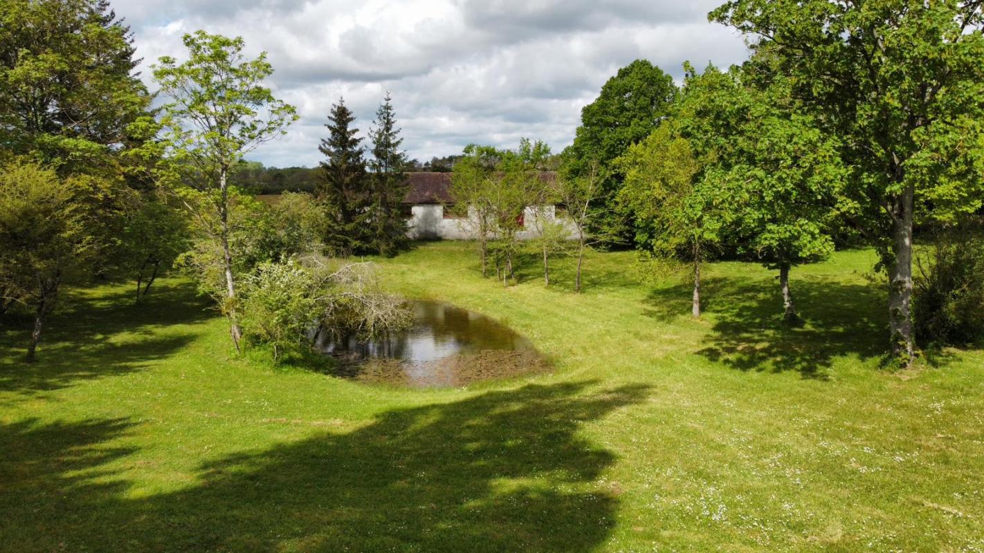 PRESSIGNY-LES-PINS DOMAINE ISOLÉ de 10 Hectares au MILIEU DES CHAMPS - 1h30 de PARIS , PARFAIT POUR ELEVAGE, PERMACULTURE OU SIMPLEMENT VIVRE EN PLEINE NATURE ! 15
