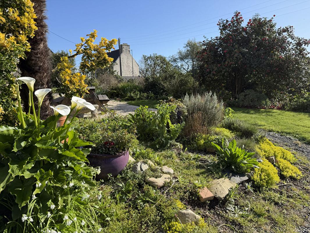 MINIHY-TREGUIER Maison individuelle avec sous-sol complet ,Minihy-Tréguier 2