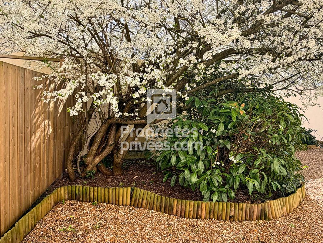 TOURS EXCLUSIVITÉ À VENDRE : STUDIO / T1 BIS 21M2 IDÉAL INVESTISSEUR, TOURS PRÉBENDES (37000) 6