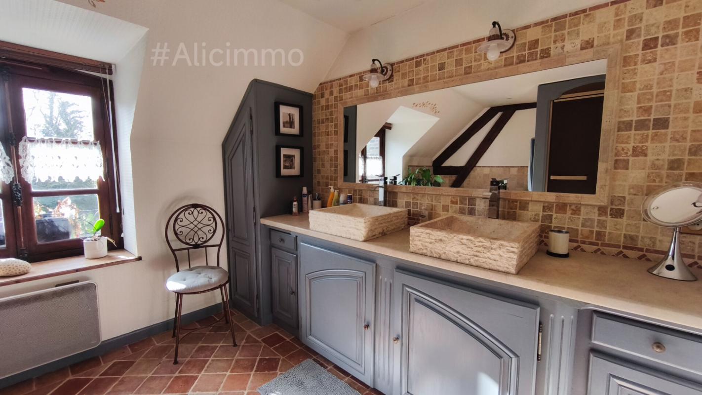 SEZANNE Propriété de charme dans un cadre privilégié 13