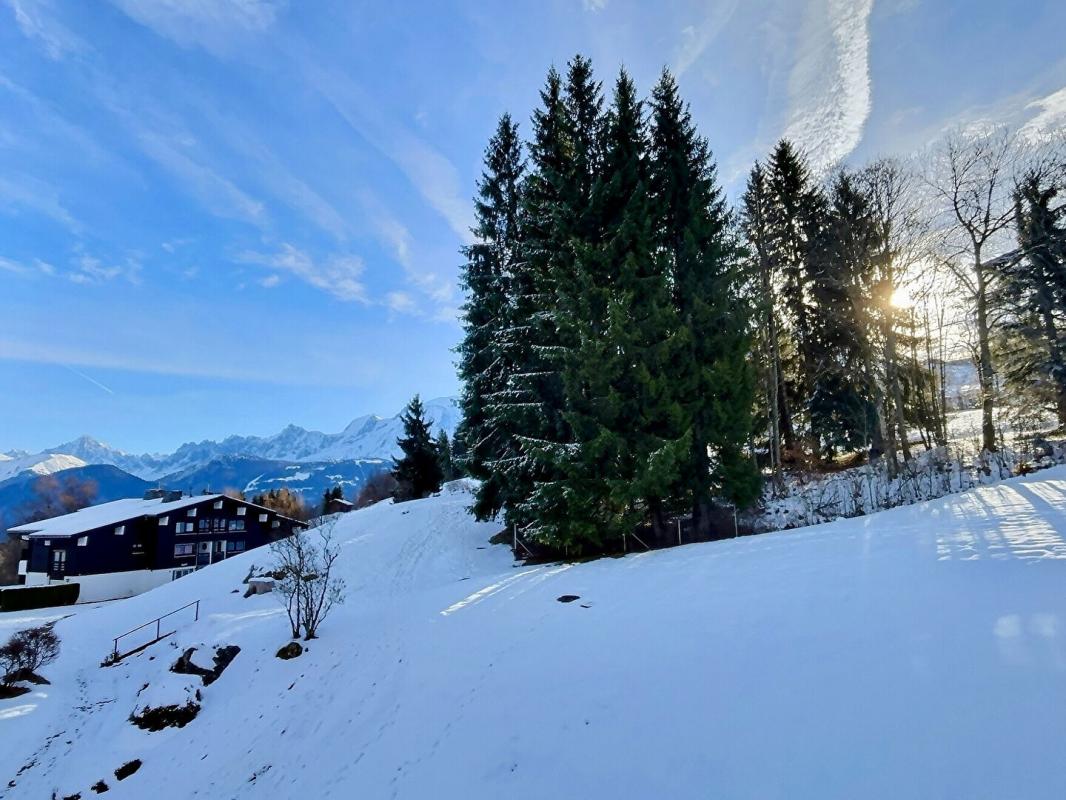 COMBLOUX Studio 20 m2 à Combloux , aux pieds des pistes 2
