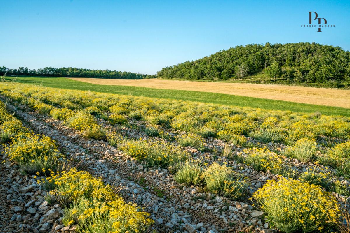 VIENS Lubéron - Domaine d'exception de plus de 200 hectares / 1200 m² habitables 15