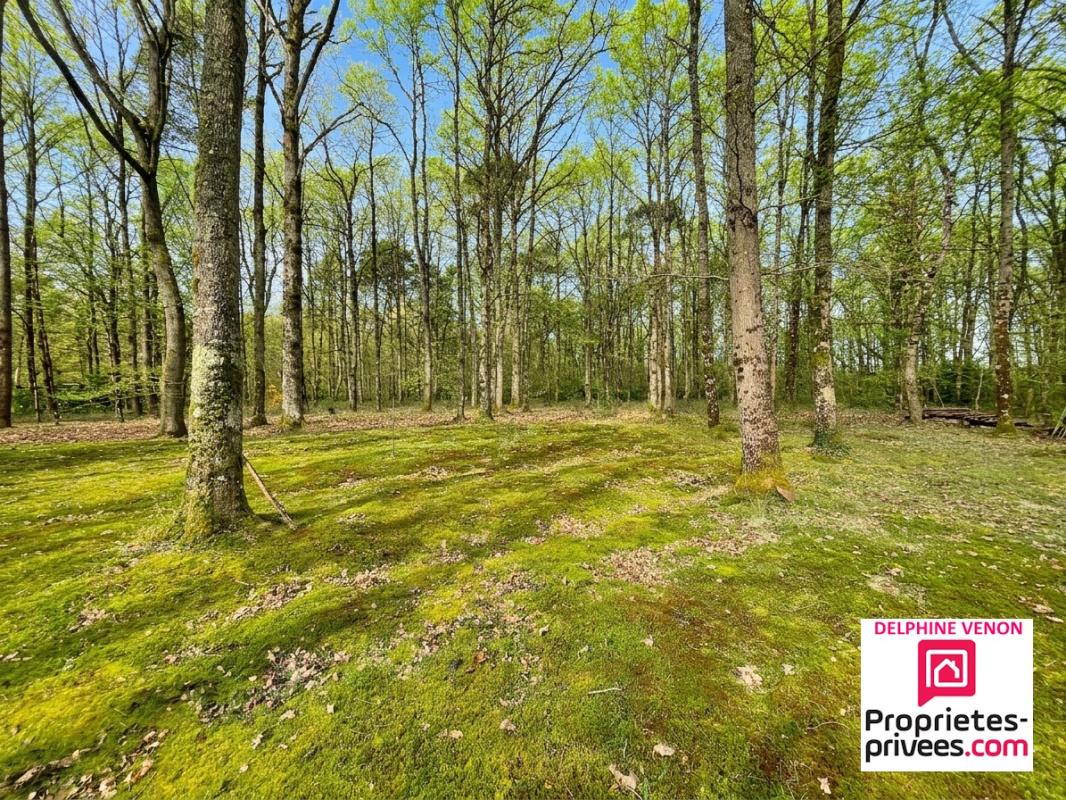 DONNERY Exclusivité - Maison  familiale de 200 m² à Donnery quartier des grands billons  sur un magnifique terrain  de 5 945 m² 12