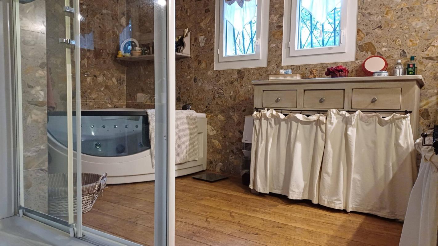 SULLY-SUR-LOIRE PROPRIETE SUR 2.7 HECTARES 9