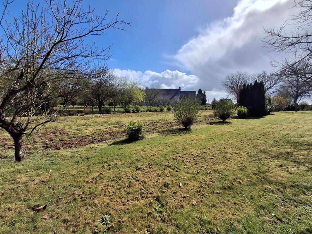 CRUGUEL Vous rêvez d'espace, de nature et d'un terrain pour vos projets ? Cette propriété pourrait bien être votre coup de coeur 18