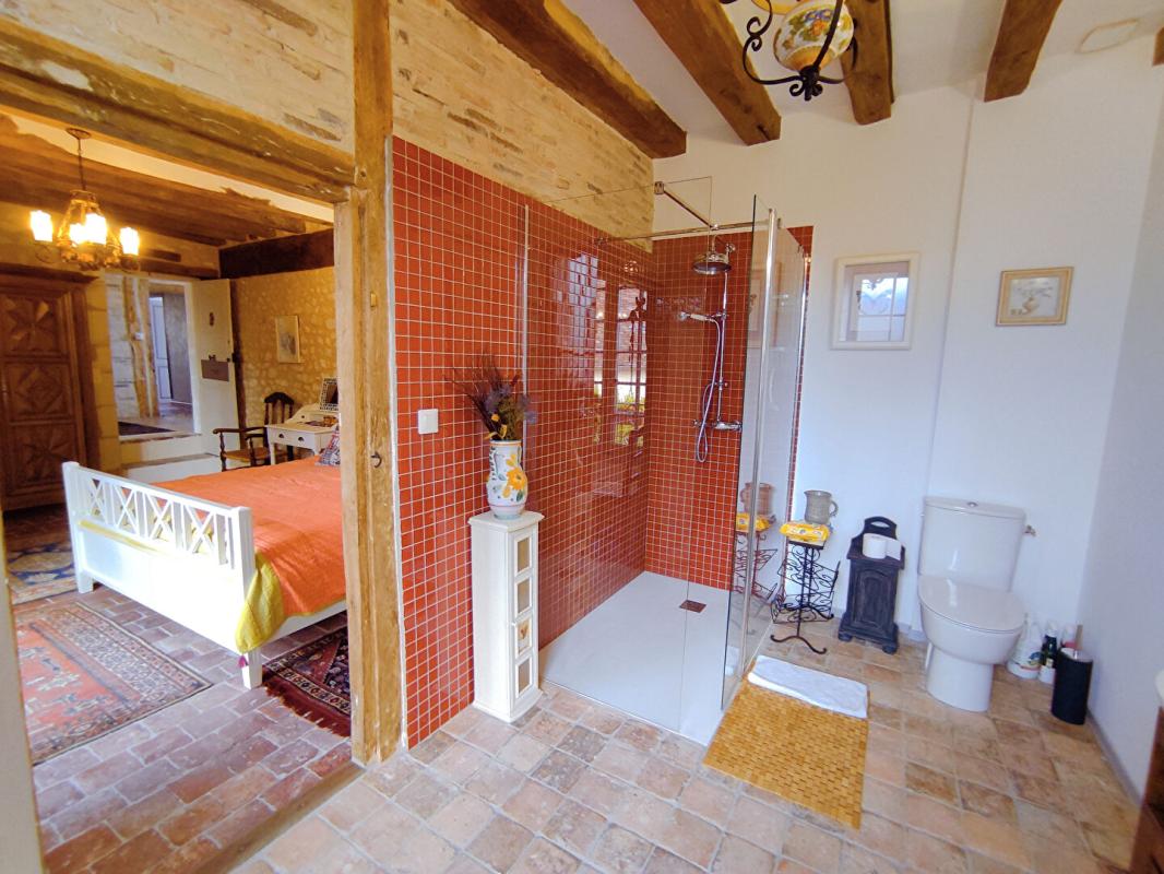 PREUILLY-SUR-CLAISE Demeure du XVII 9 pièce(s) 229 m2 Jardin et Grange 13