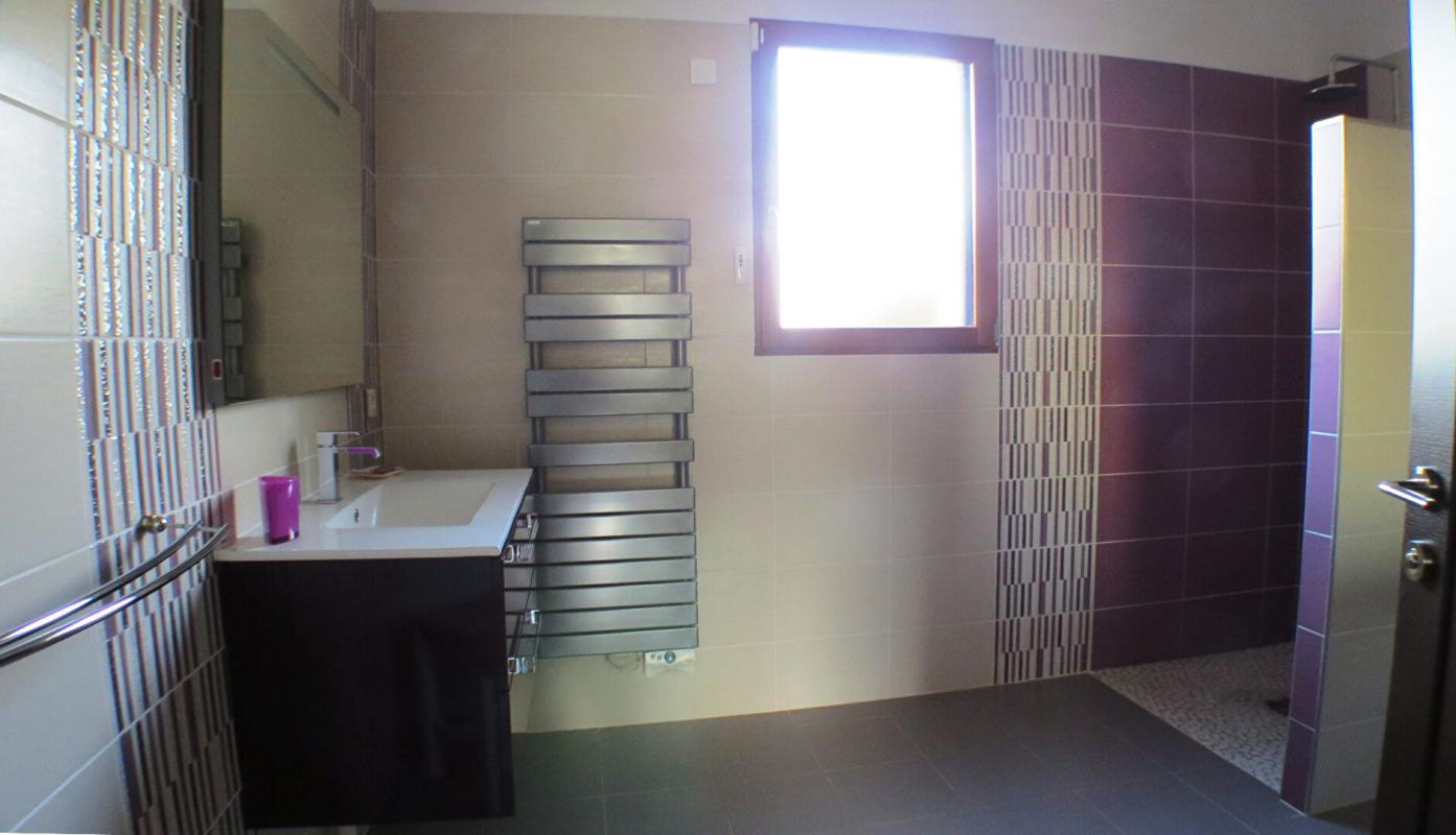 L'ISLE-ADAM Demeure de prestige de 349m2 avec piscine et grand jardin 10