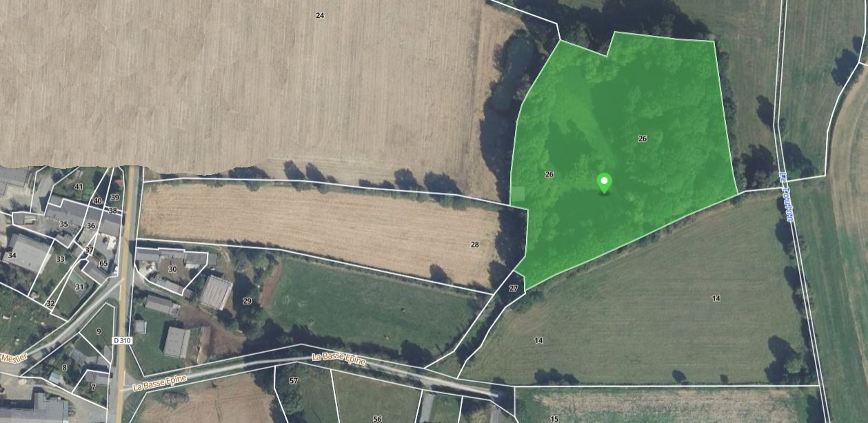 MARTIGNE-FERCHAUD Etang Martigne Ferchaud 5550 m2 - Terrain de 12340 - 10