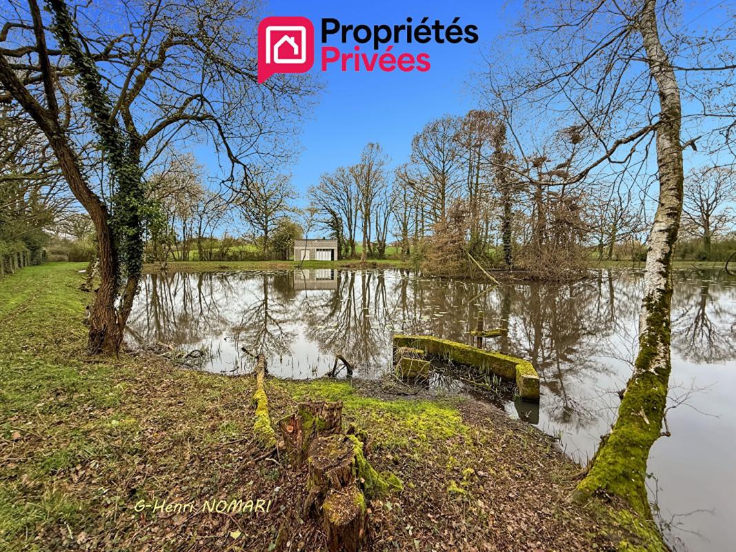 MARTIGNE-FERCHAUD Etang Martigne Ferchaud 5550 m2 - Terrain de 12340 - 2