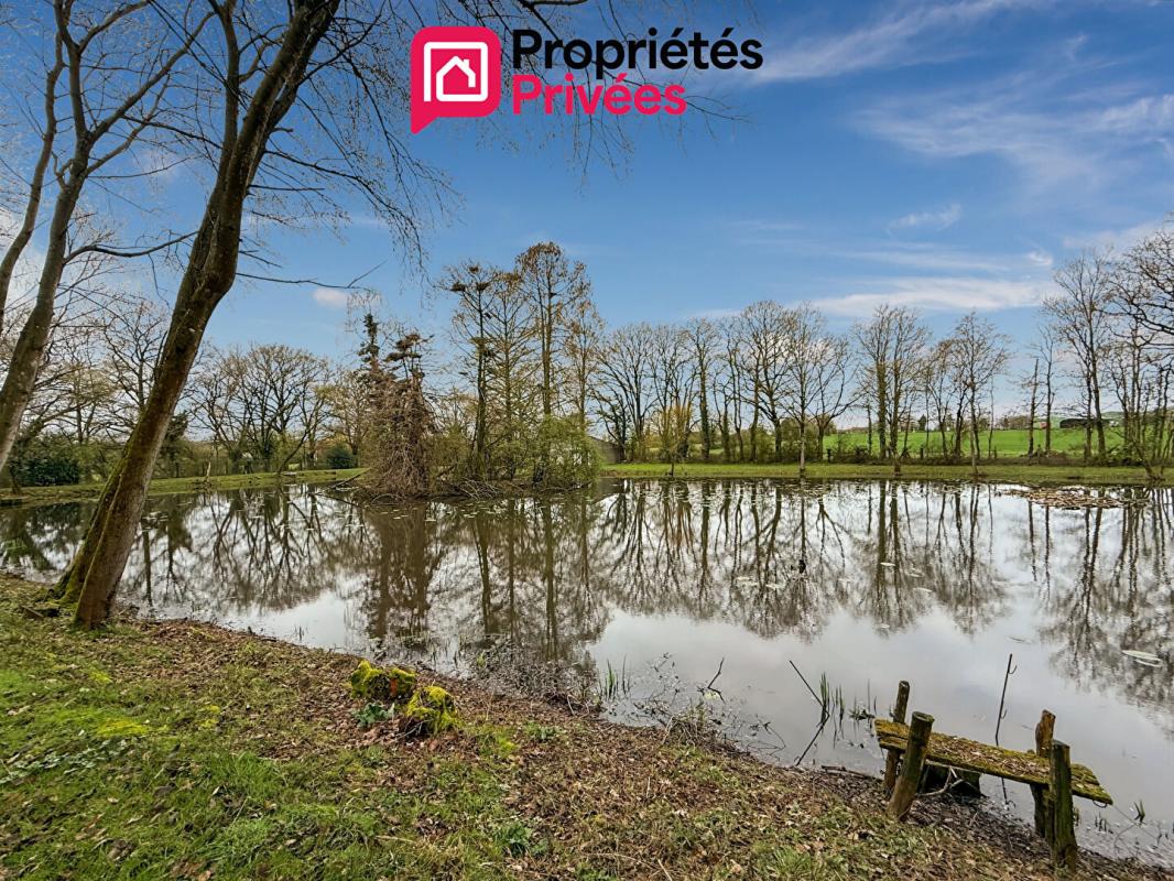 MARTIGNE-FERCHAUD Etang Martigne Ferchaud 5550 m2 - Terrain de 12340 - 6