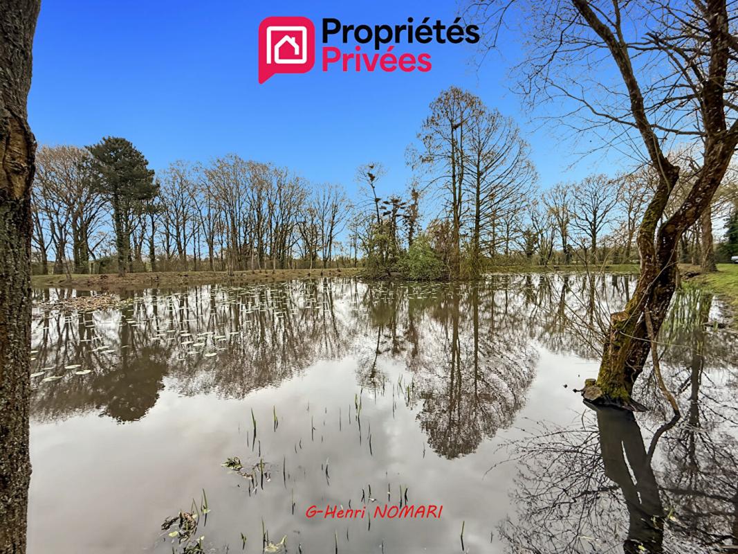 MARTIGNE-FERCHAUD Etang Martigne Ferchaud 5550 m2 - Terrain de 12340 - 7