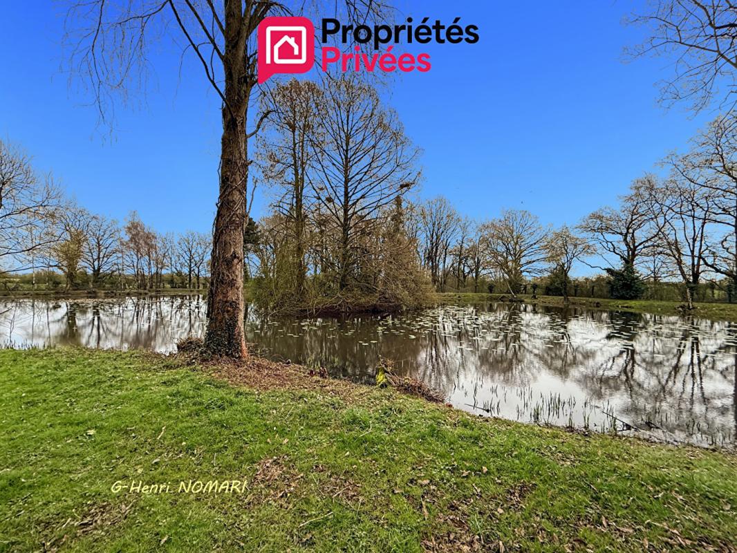 MARTIGNE-FERCHAUD Etang Martigne Ferchaud 5550 m2 - Terrain de 12340 - 8