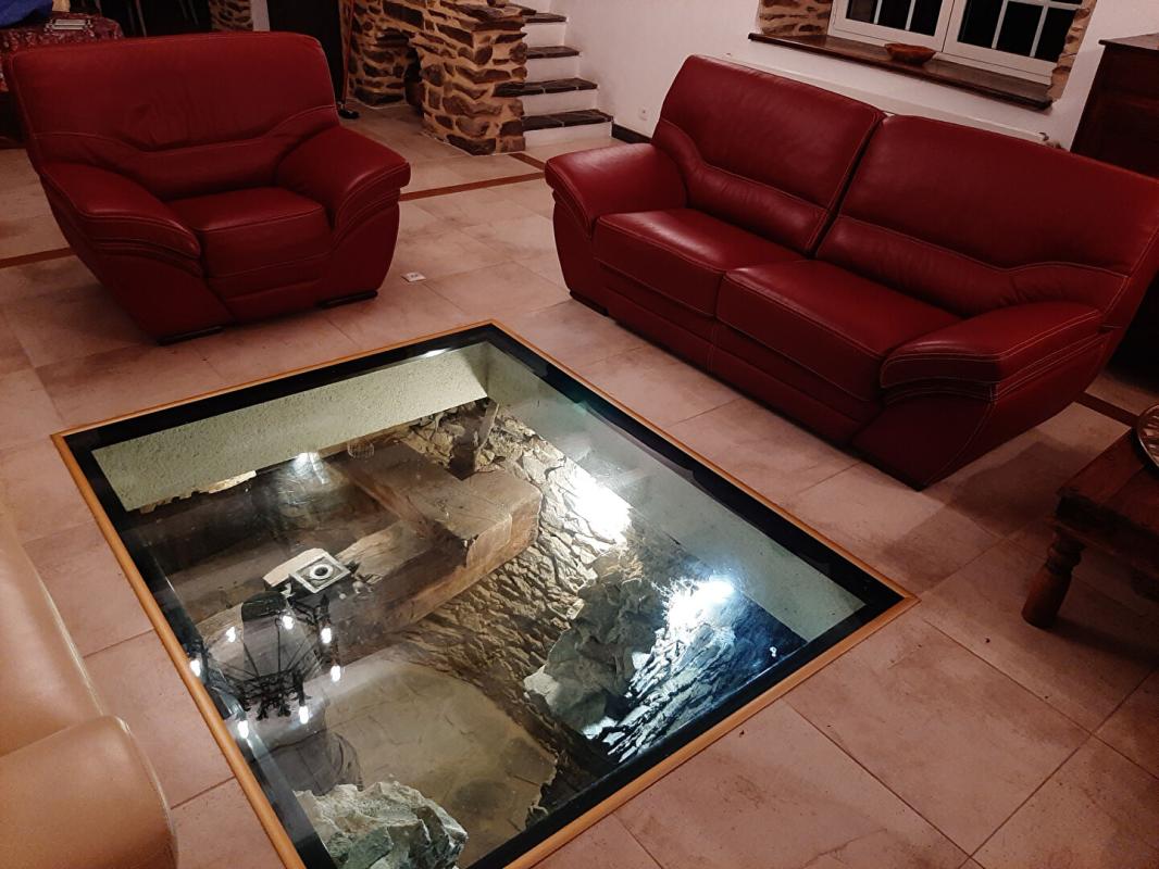 SEGRE Domaine d'exception avec moulin du XVI siècle entièrement rénové, env 330 m² habitables  - 15 hectares avec rivière et étang 10