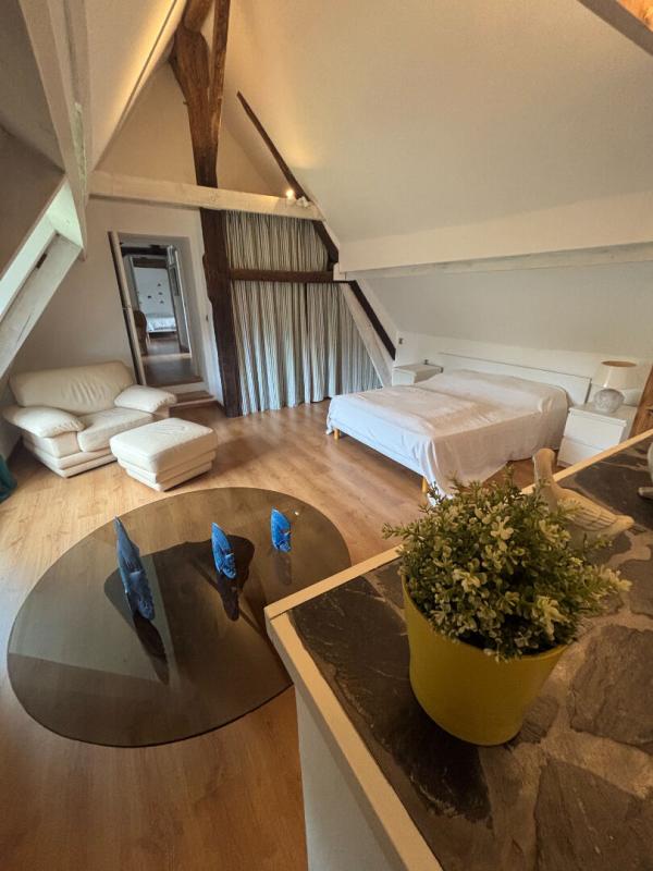 SEGRE Domaine d'exception avec moulin du XVI siècle entièrement rénové, env 330 m² habitables  - 15 hectares avec rivière et étang 12