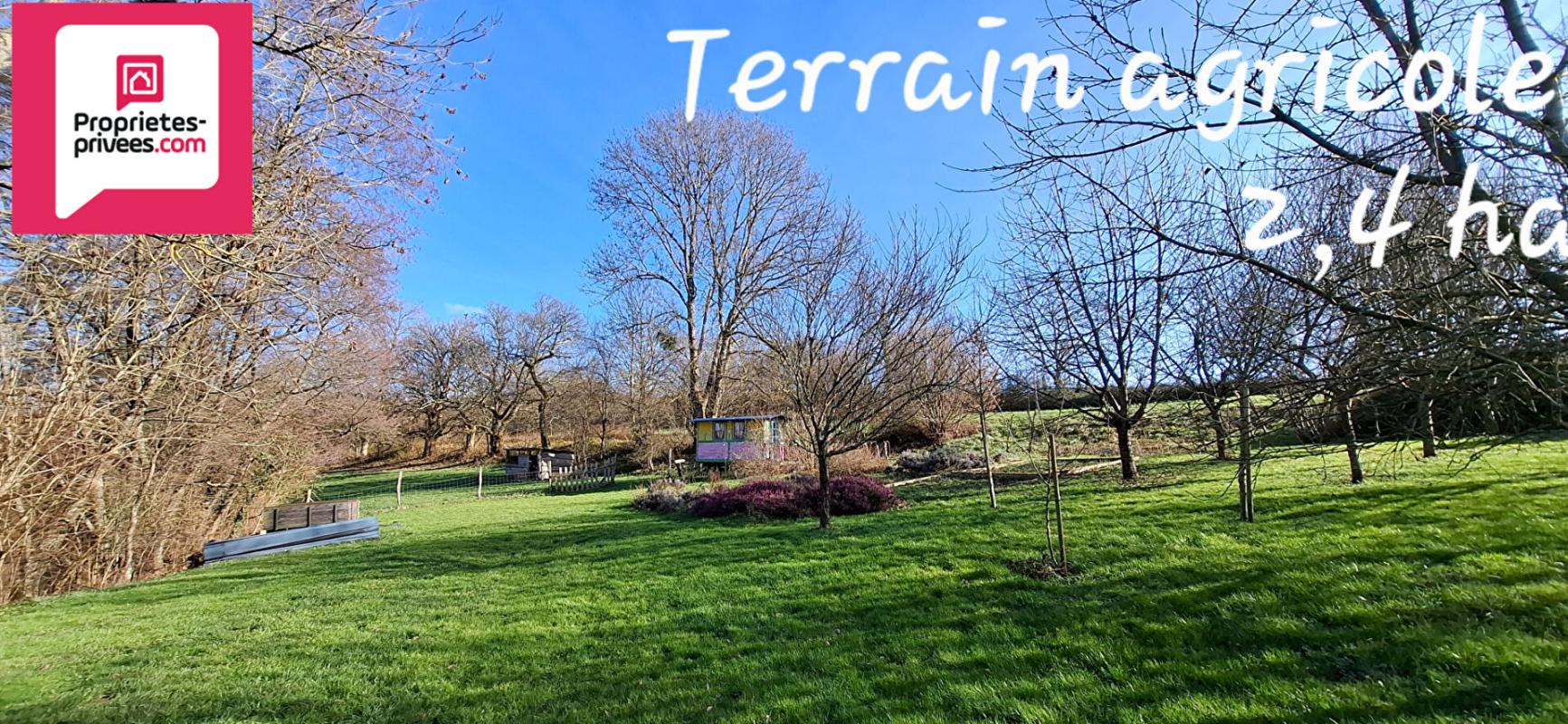 SAINT-AMOUR Moulin sur 2,4 hectares à Saint Amour 4