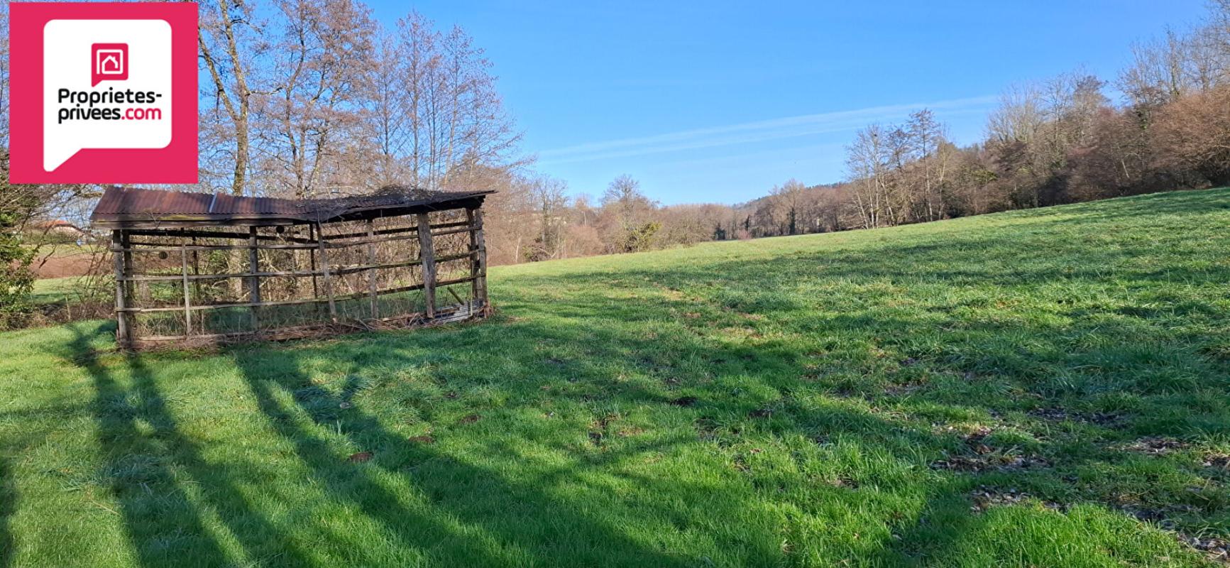 SAINT-AMOUR Moulin sur 2,4 hectares à Saint Amour 6