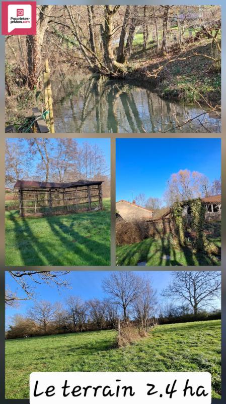 SAINT-AMOUR Moulin sur 2,4 hectares à Saint Amour 7