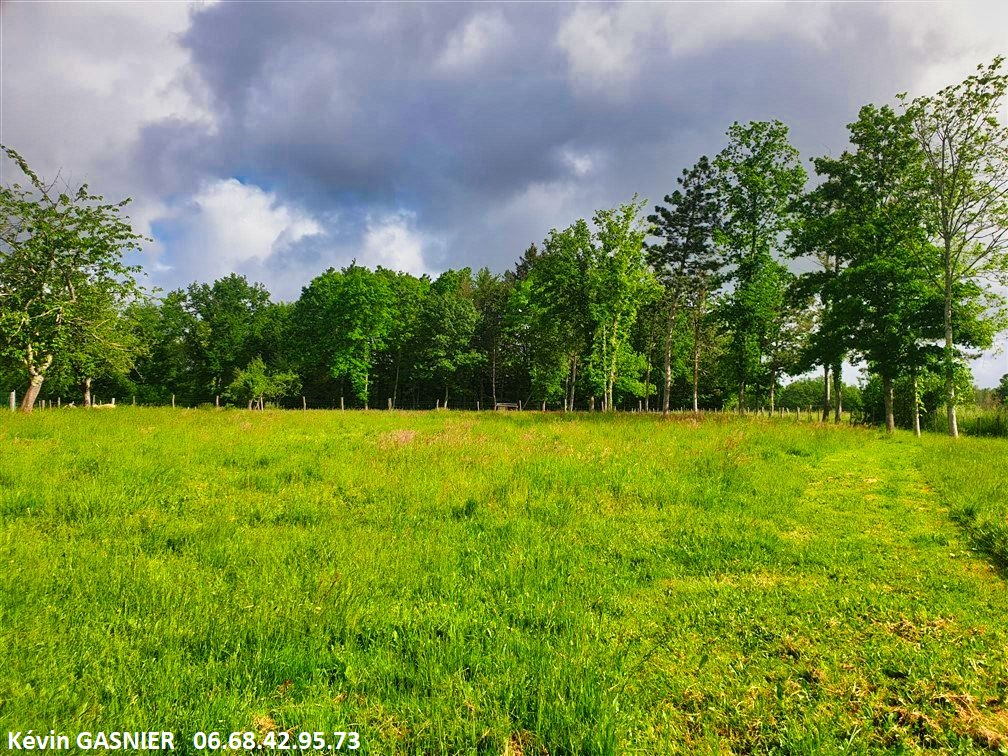 CHAZELLES GRASSAC (16380) : Terrain à bâtir de 19380m2 (Bois + partie constructible) 2