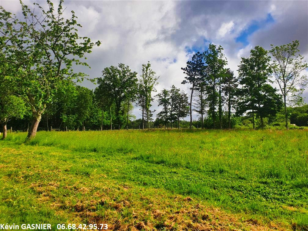 CHAZELLES GRASSAC (16380) : Terrain à bâtir de 19380m2 (Bois + partie constructible) 3