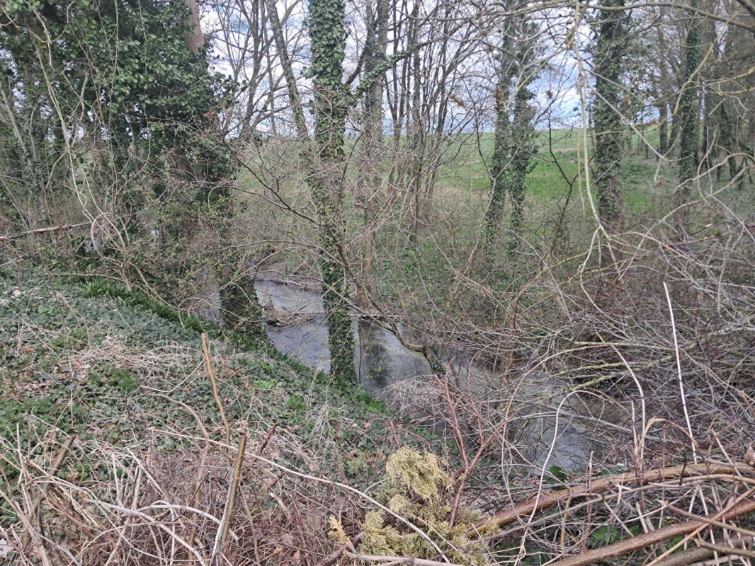 DAMPIERRE-AU-TEMPLE Terrain  La Neuville -au -Temple 1796 m2 3