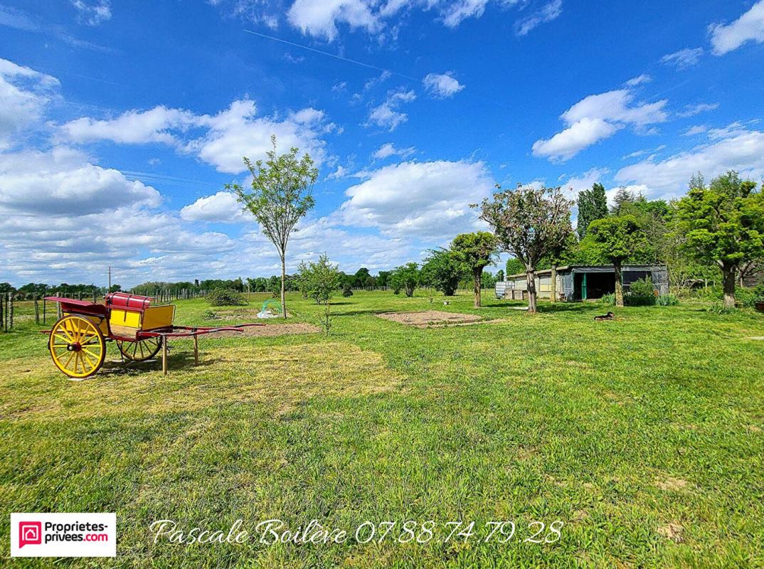 COURLEON Maison de bourg - Courléon (49390) 12
