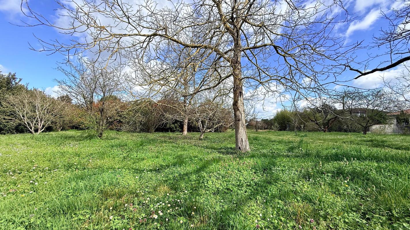 VILLAUDRIC À vendre Terrain à bâtir de 1000 m2 à Villaudric - 31620 3