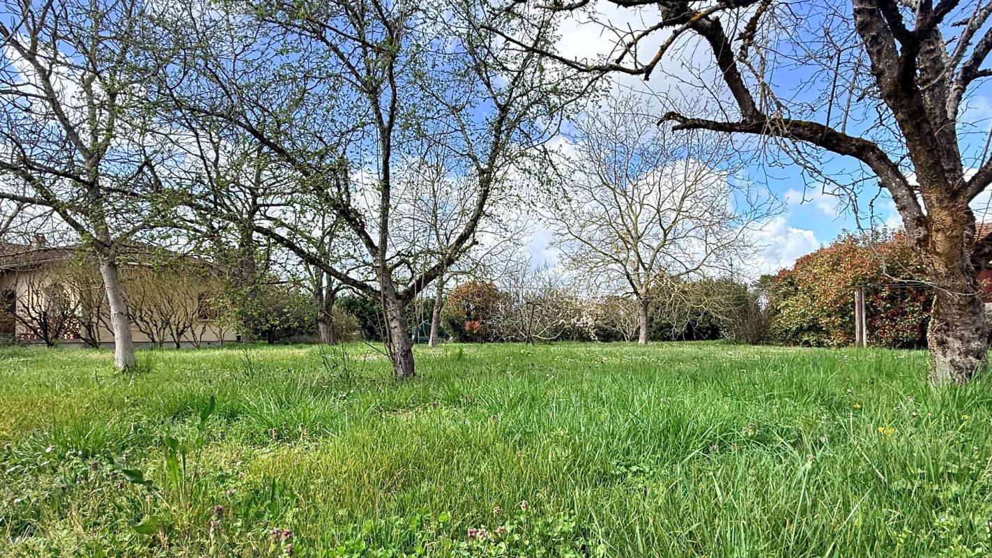 VILLAUDRIC À vendre Terrain à bâtir de 1000 m2 à Villaudric - 31620 5