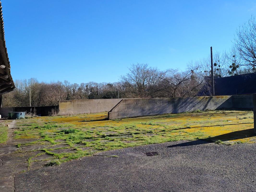 PLOREC-SUR-ARGUENON Hangars sur Plorec sur Arguenon de 765 m2 4