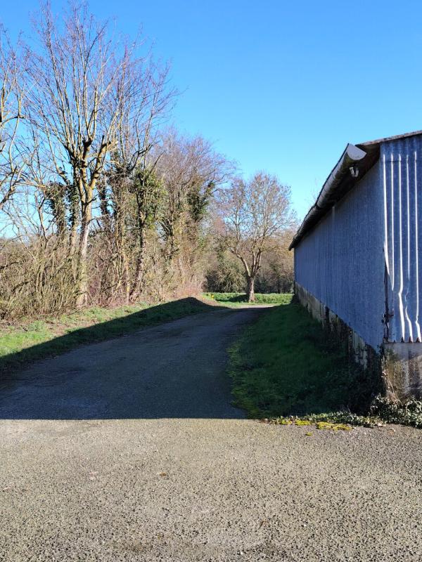 PLOREC-SUR-ARGUENON Hangars sur Plorec sur Arguenon de 765 m2 5