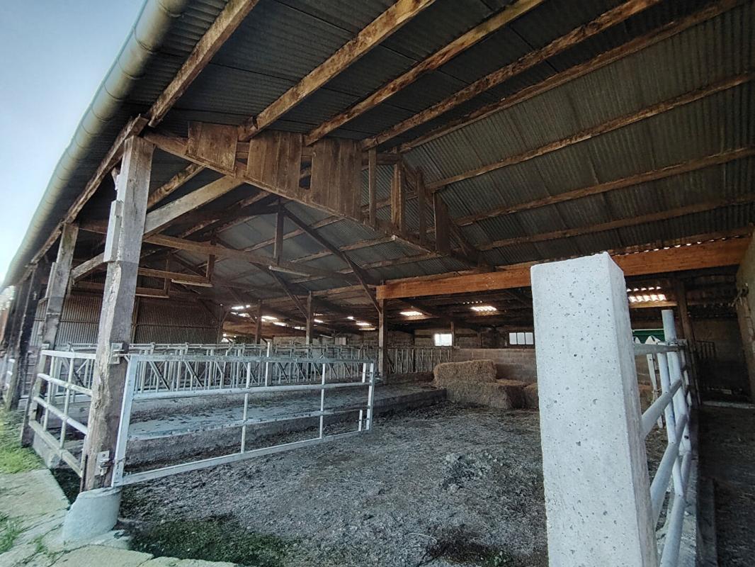 PLOREC-SUR-ARGUENON Hangars sur Plorec sur Arguenon de 765 m2 7