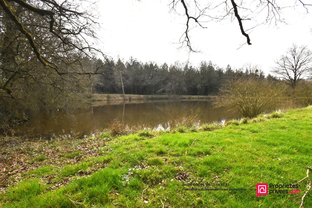 LA PLAINE Terrain de loisirs La Plaine 4