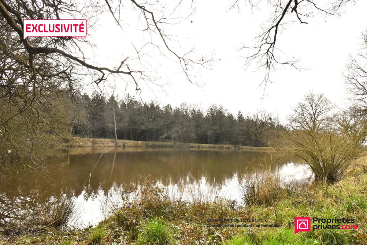 LA PLAINE Terrain de loisirs La Plaine 5