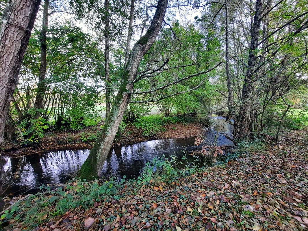 MONDOUBLEAU Propriété comprenant maison rénovée et ancien moulin à finir d'aménager 6
