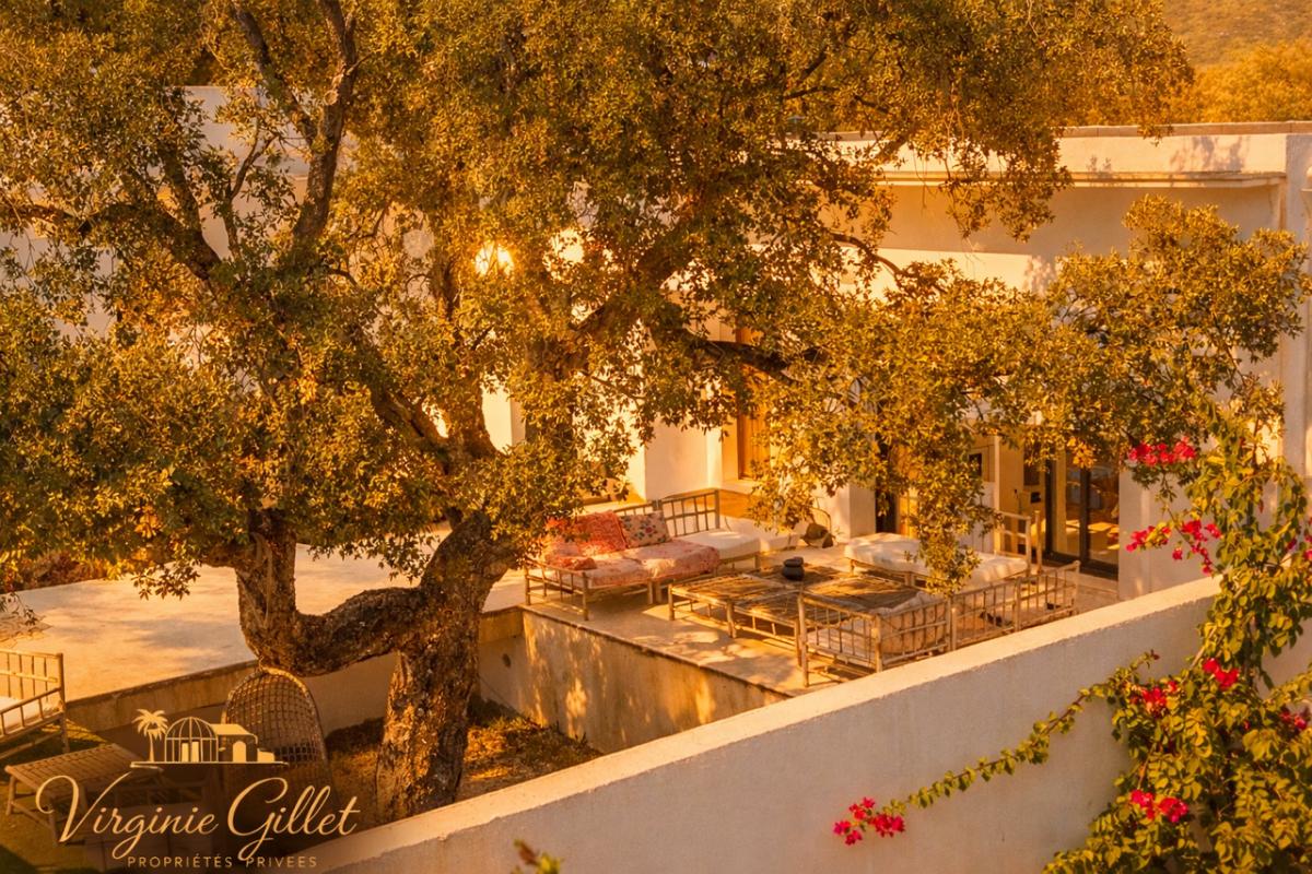 ZONZA Villa contemporaine de plain-pied invite à quelques minutes des plages de Pinarello 12