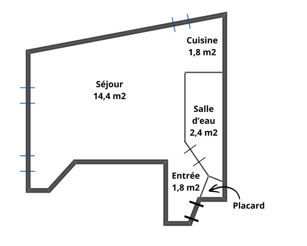 TOURS EXCLUSIVITÉ À VENDRE : STUDIO MEUBLÉ 21M2 IDÉAL INVESTISSEUR, TOURS PRÉBENDES (37000) 7