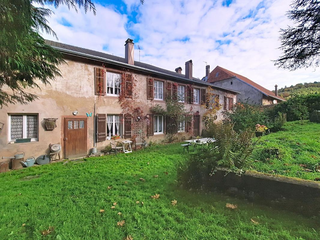 SAINT-DIE-DES-VOSGES A LUBINE Maison de caractère + activité chambres d'hôtes 481 m² Fort potentiel Cadre nature 1