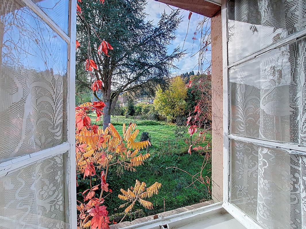 SAINT-DIE-DES-VOSGES A LUBINE Maison de caractère + activité chambres d'hôtes 481 m² Fort potentiel Cadre nature 2